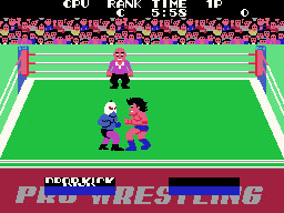 Champion Pro Wrestling running on the Sega SG-1000 / SC-3000 — in-game screenshot, 256×192, grabbed from the emulator