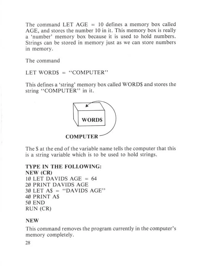 SEGA beginners-guide — page 28 of 72, scanned from the printed manual
