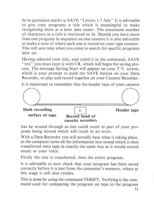 SEGA beginners-guide — page 31 of 72, scanned from the printed manual
